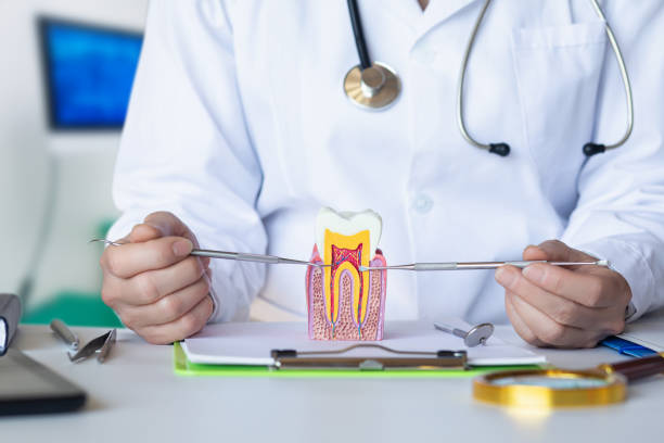 Best Pediatric Emergency Dentist in Grove City, FL